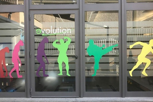 Immagine 2 dalla galleria del partner Palestra Evolution