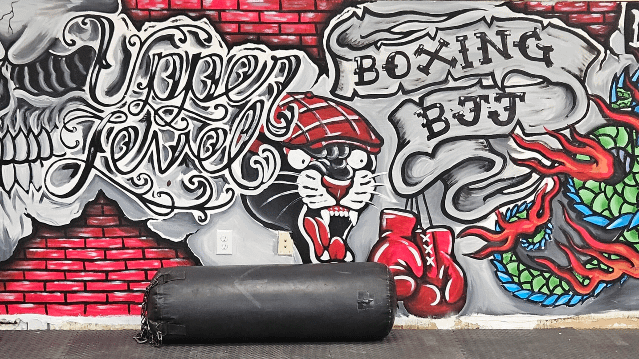 Image 1 from Upper Level Jiu Jitsu & Boxing partner gallery