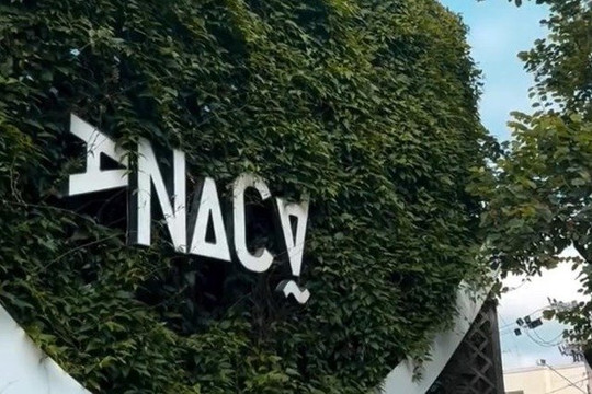 Imagem 2 da galeria do parceiro Studio Favale & Pinkfit