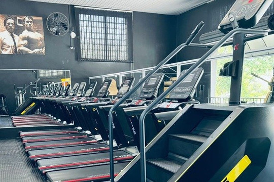 Imagem 1 da galeria do parceiro Academia WF