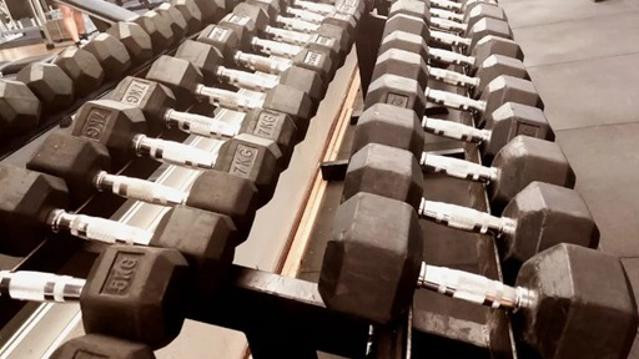 Immagine 3 dalla galleria del partner New Gym Novara