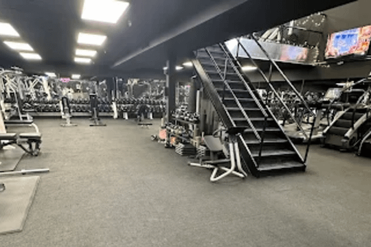 Image 3 from 1983 Training & Co partner gallery