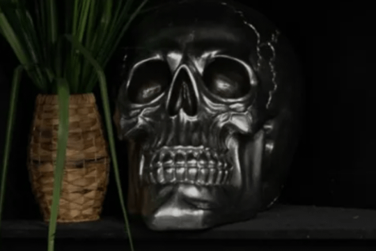 Image 1 from 1983 Training & Co partner gallery