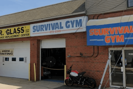 Image 2 from 1983 Training & Co partner gallery