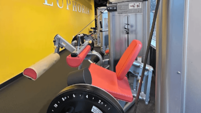 Image 3 from Euphoria Health and Fitness partner gallery