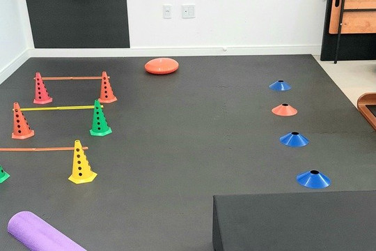 Imagem 3 da galeria do parceiro Instituto Movimentar • Fisioterapia • Pilates • Massoterapia • Nutrição