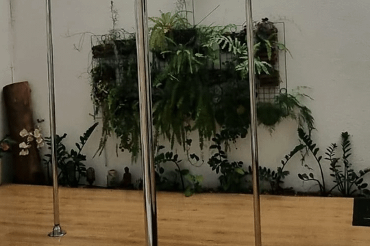 Imagem 3 da galeria do parceiro Studio Olinda Flow Pole Dance