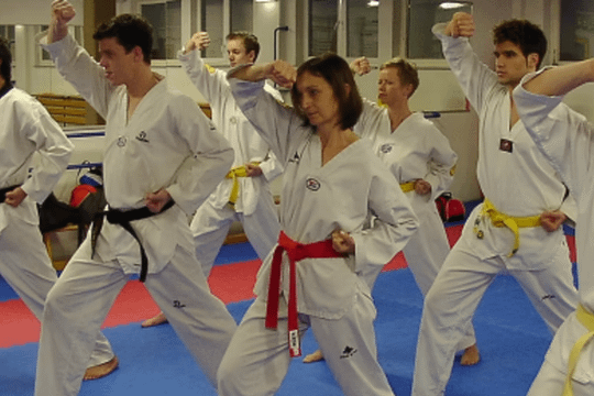 Bild 1 von Taekwondo Schule Olymp e.V. Bühl Partnergalerie