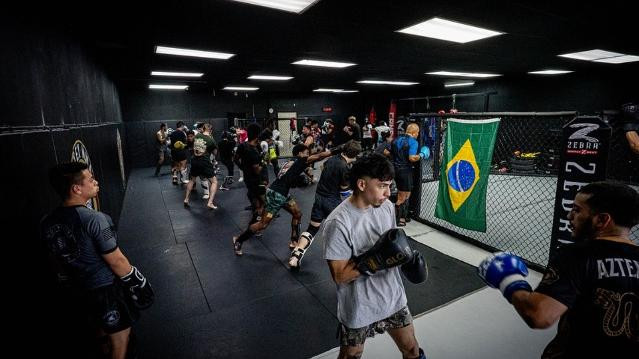 Image 1 from AzTex MMA partner gallery