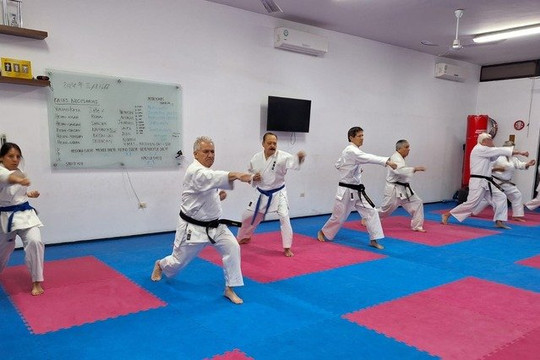 Imagen 2 de la galería del partner Hombu Dojo Shito Kai Murayama