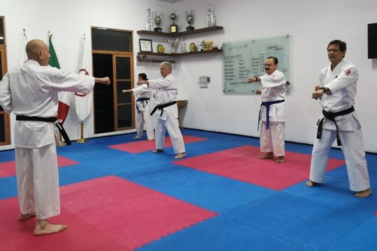 Imagen 1 de la galería del partner Hombu Dojo Shito Kai Murayama