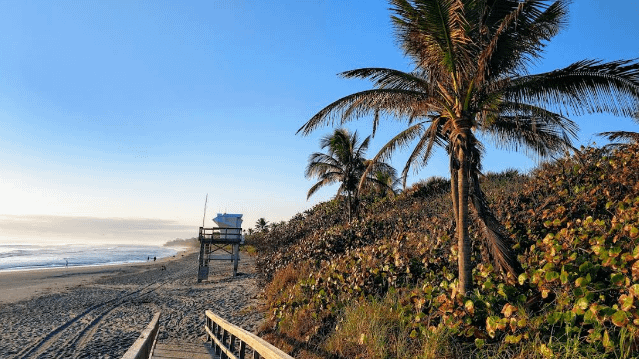 Image 2 from SofusionYoga partner gallery