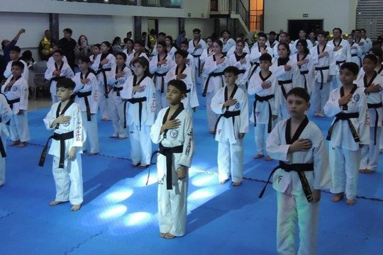 Imagen 3 de la galería del partner Profighter Concordia