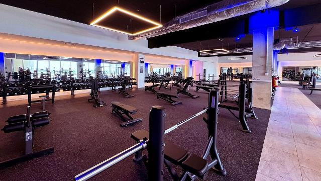 Imagen 1 de la galería del partner Fitsi Real Montejo