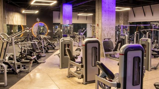 Imagen 2 de la galería del partner Fitsi Real Montejo