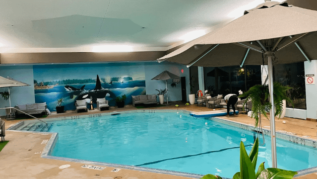 Image 2 from Just Add Water Yoga partner gallery