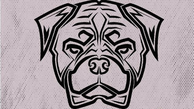 Imagen 1 de la galería del partner Rott centro de entrenamiento