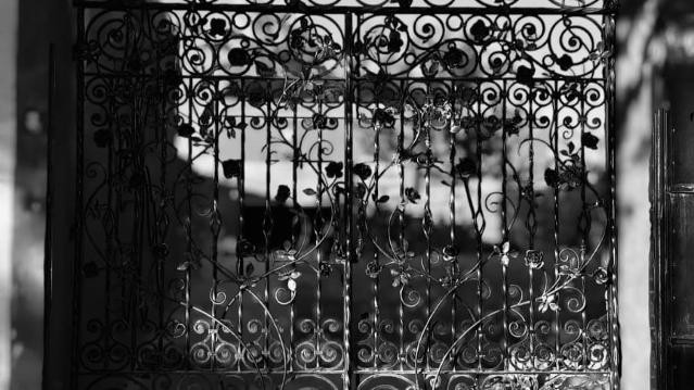 Imagen 3 de la galería del partner Rott centro de entrenamiento