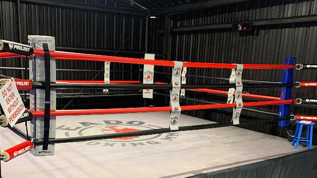 Image 1 from EADO Boxing Club partner gallery