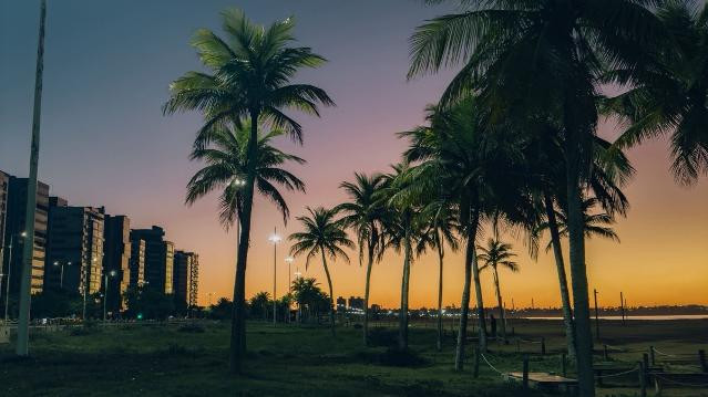 Imagem 2 da galeria do parceiro Hub Futevôlei