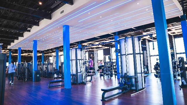 Imagen 1 de la galería del partner Focus PRIME (Novum)