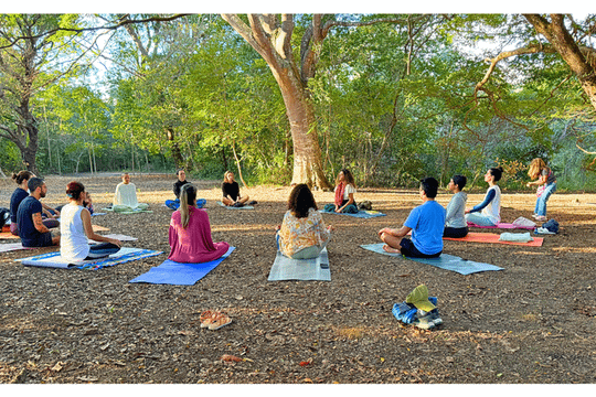 Imagem 1 da galeria do parceiro Yoga com Cami Sadhaka