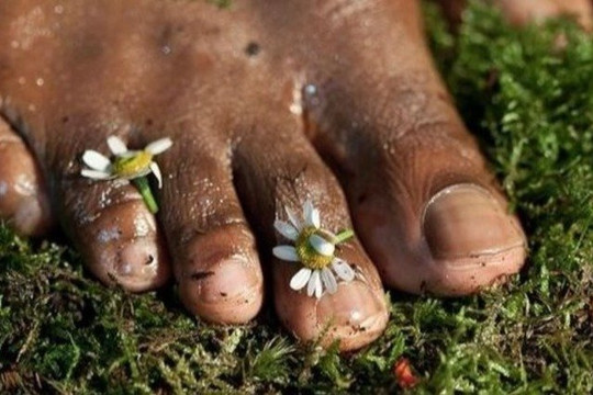 Imagem 3 da galeria do parceiro Yoga com Cami Sadhaka