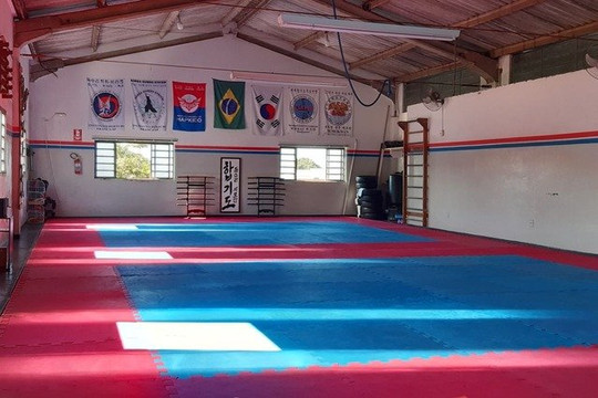 Imagem 1 da galeria do parceiro Instituto Dok Su Ri de Hapkido
