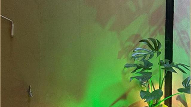 Imagem 3 da galeria do parceiro Ti Bonaroti Studio Pilates