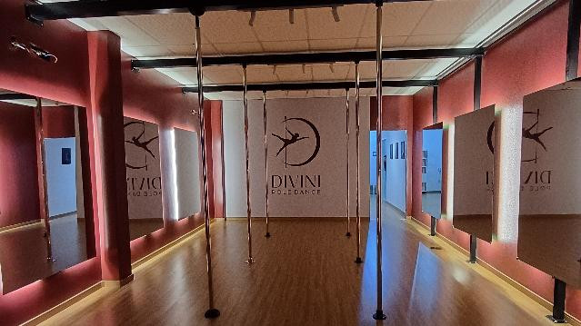 Imagem 1 da galeria do parceiro Divini Pole Dance Canoas | Deise Machado