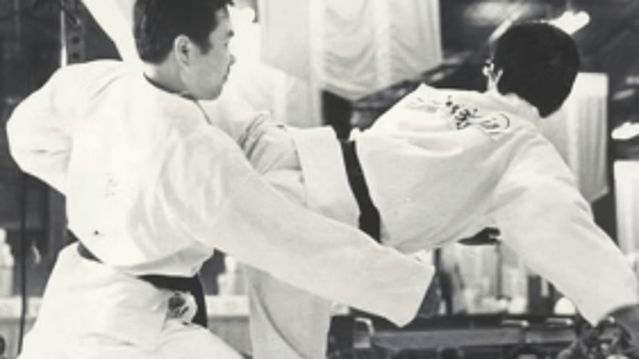 Image 2 from Jing Ying Martial Arts partner gallery