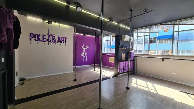 Imagem 2 da galeria do parceiro Pole & Art Studio