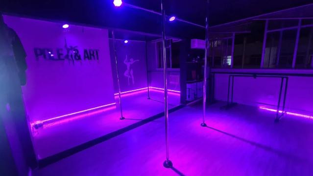 Imagem 1 da galeria do parceiro Pole & Art Studio