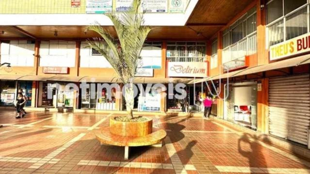 Imagem 2 da galeria do parceiro Studio Aurin Pilates