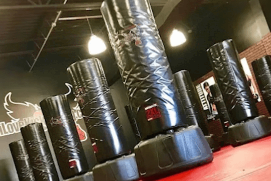 Image 1 from Bayshore Kickboxing partner gallery