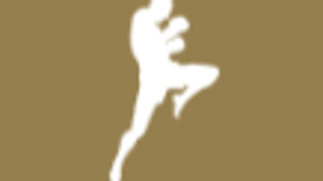 Image 3 from MMT GYM | Muay Thai Training Facility partner gallery