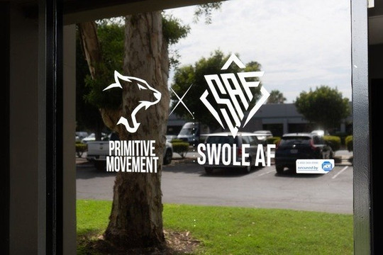 Image 2 from Primitive By Swole partner gallery