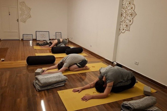 Imagem 1 da galeria do parceiro Casa Um Yoga & Ayurveda