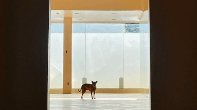 Image 2 from Sadie's Lincoln partner gallery