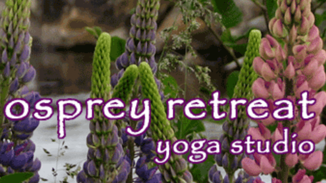 Image 2 from Osprey Retreat Yoga Studio partner gallery