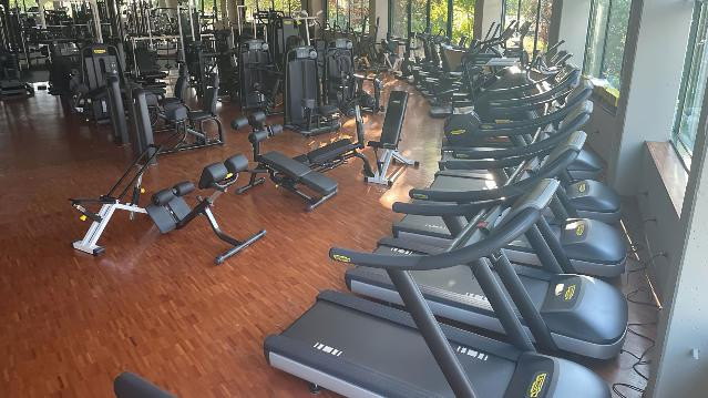 Immagine 1 dalla galleria del partner ISTITUTO DI SCIENZE MOTORIE KINESIS SRL