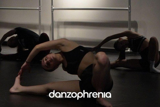 Imagen 2 de la galería del partner Danzophrenia