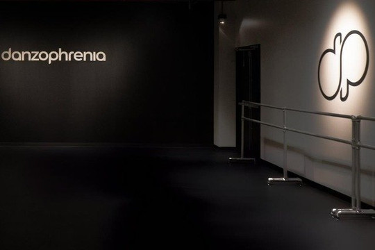 Imagen 1 de la galería del partner Danzophrenia