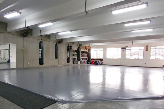 Imagem 1 da galeria do parceiro Academia Nova Arena