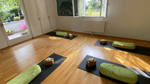 Bild 1 von Diviva Iyengar Yoga Partnergalerie