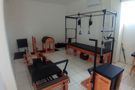 Imagem 1 da galeria do parceiro Studio Gisele Brandão Pilates e Fisioterapia