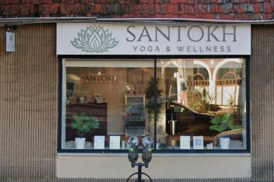 Image 2 from SANTOKH YOGA & WELLNESS partner gallery