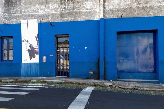 Imagem 2 da galeria do parceiro Espaço Academia