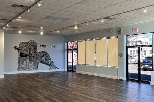 Image 1 from lagree ny Garden City partner gallery