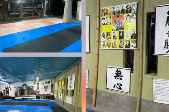 Imagem 1 da galeria do parceiro Dojo Bushido Ryu